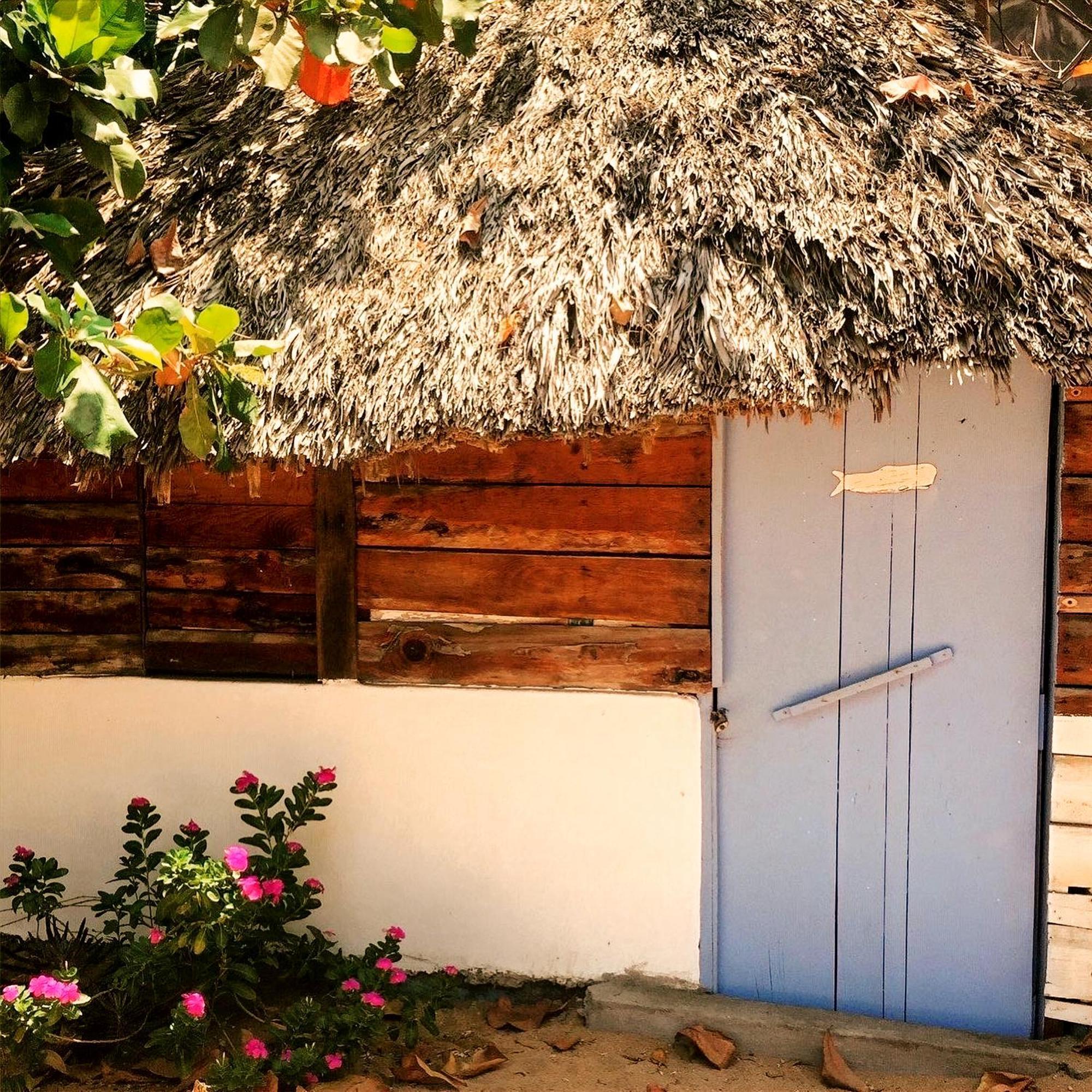 Ballelita Zipolite Dış mekan fotoğraf